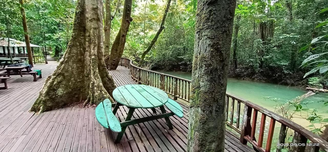 Homestay Village *