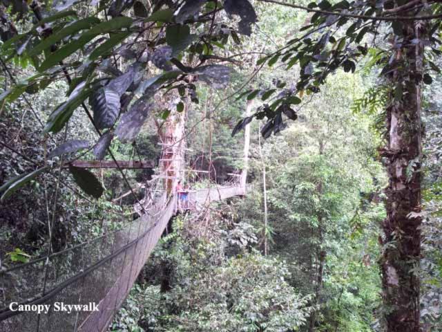 Homestay Village Mulu