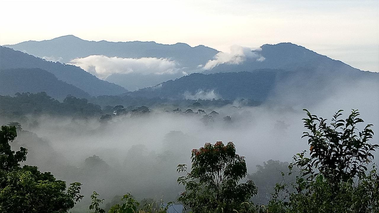 Village *