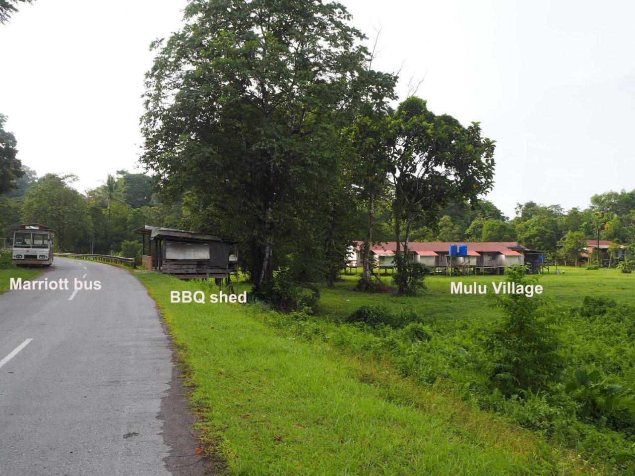 Village Homestay *